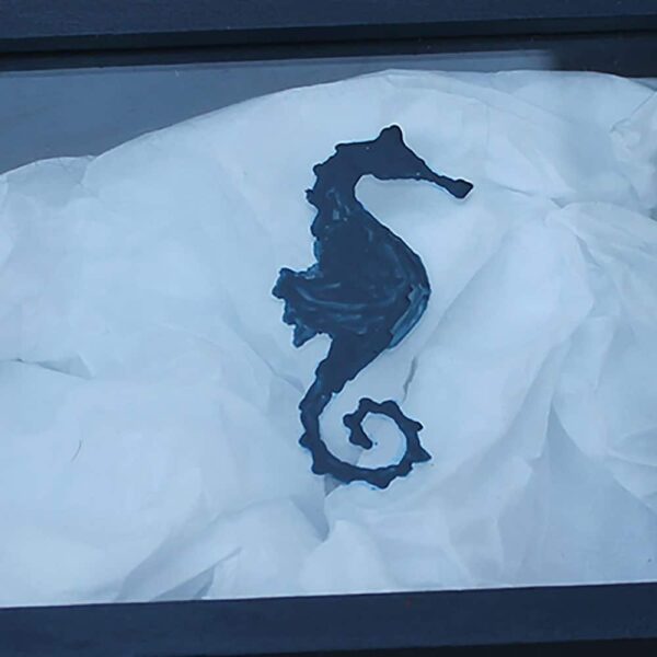 Bishop-Blue-seahorse