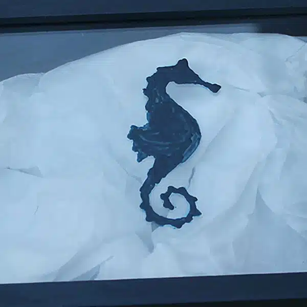 Bishop-Blue-seahorse