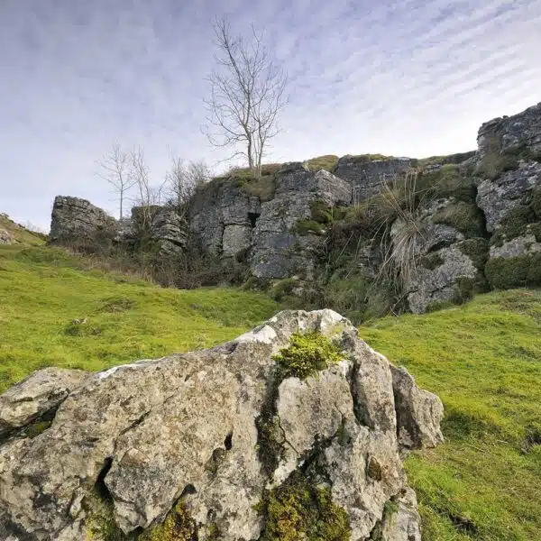 Blackdown