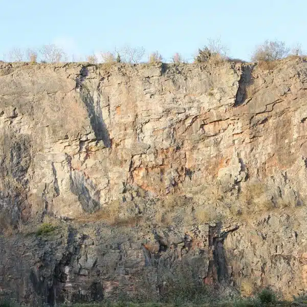 Dulcote-Stone
