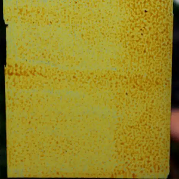 Griffin-Gold-Peelable-Glass-Paint-rollered-on