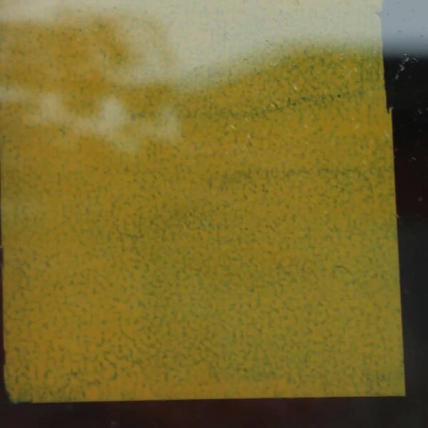 Griffin Gold Peelable Glass Paint - Image 7