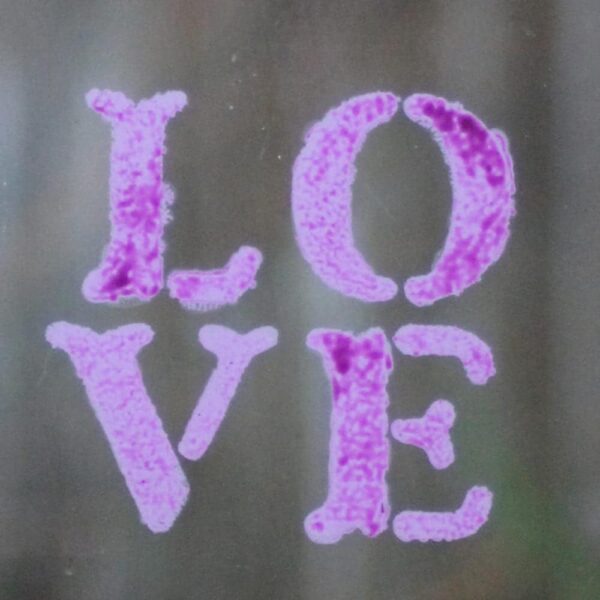 Purple-Phoenix-stencil