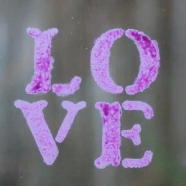 Purple-Phoenix-stencil