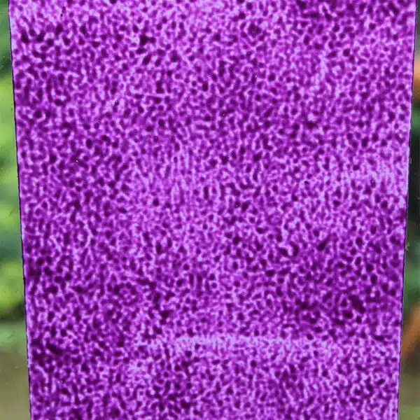 Purple-Puffin-Peelable-Glass-Paint-rollered-on