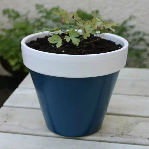 Thorndown-Bilberry-Blue-and-Swan-White-Wood-Paint-on-terracotta-pot
