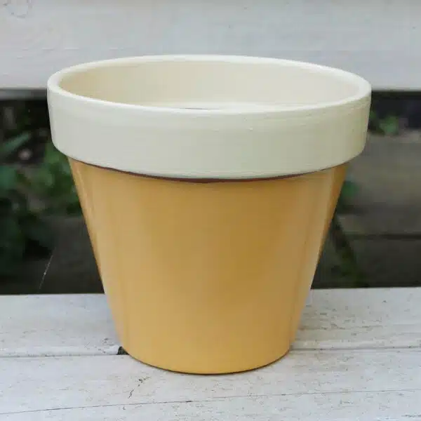 Thorndown-Ginger-Gold-and-Bath-Cream-Wood-Paint