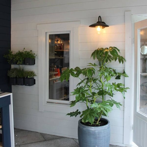 Thorndown-Greymond-wood-paint LoveYourGarden Oxford
