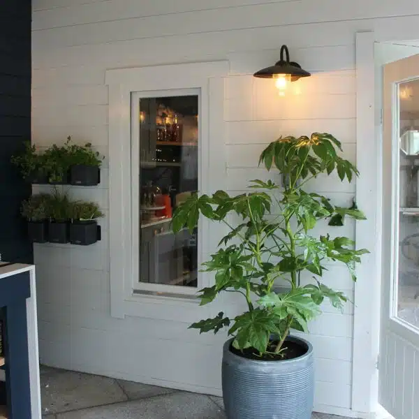 Thorndown-Greymond-wood-paint LoveYourGarden Oxford