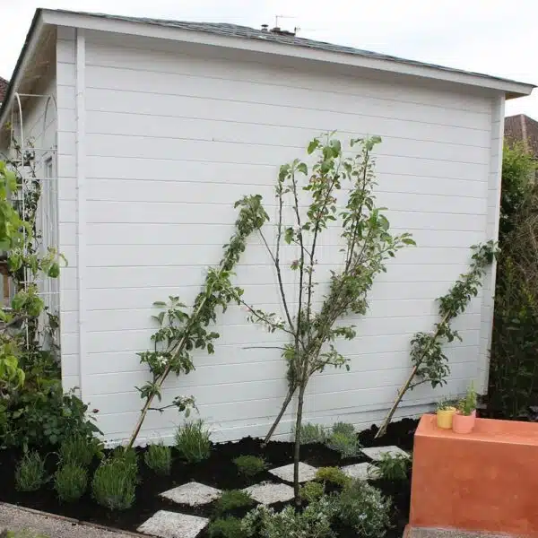 Thorndown-Greymond-wood-paint-exterior-back-wall LoveYourGarden Oxford