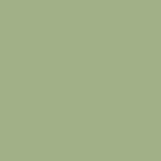 Thorndown-Peelable-Glass-Paint-Colour-Swatch-Sedge-Green
