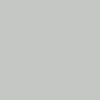 Thorndown-Peelable-Glass-Paint-Colour-Swatch-Zinc-Grey