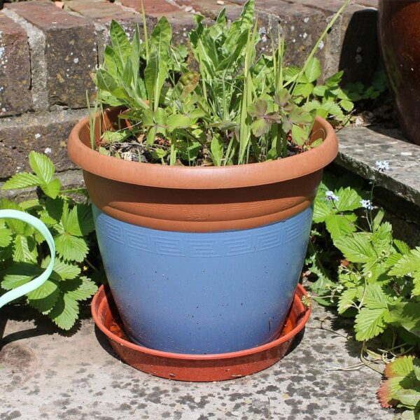 Thorndown-Peregrine-Blue-Wood-Paint-plastic-pot