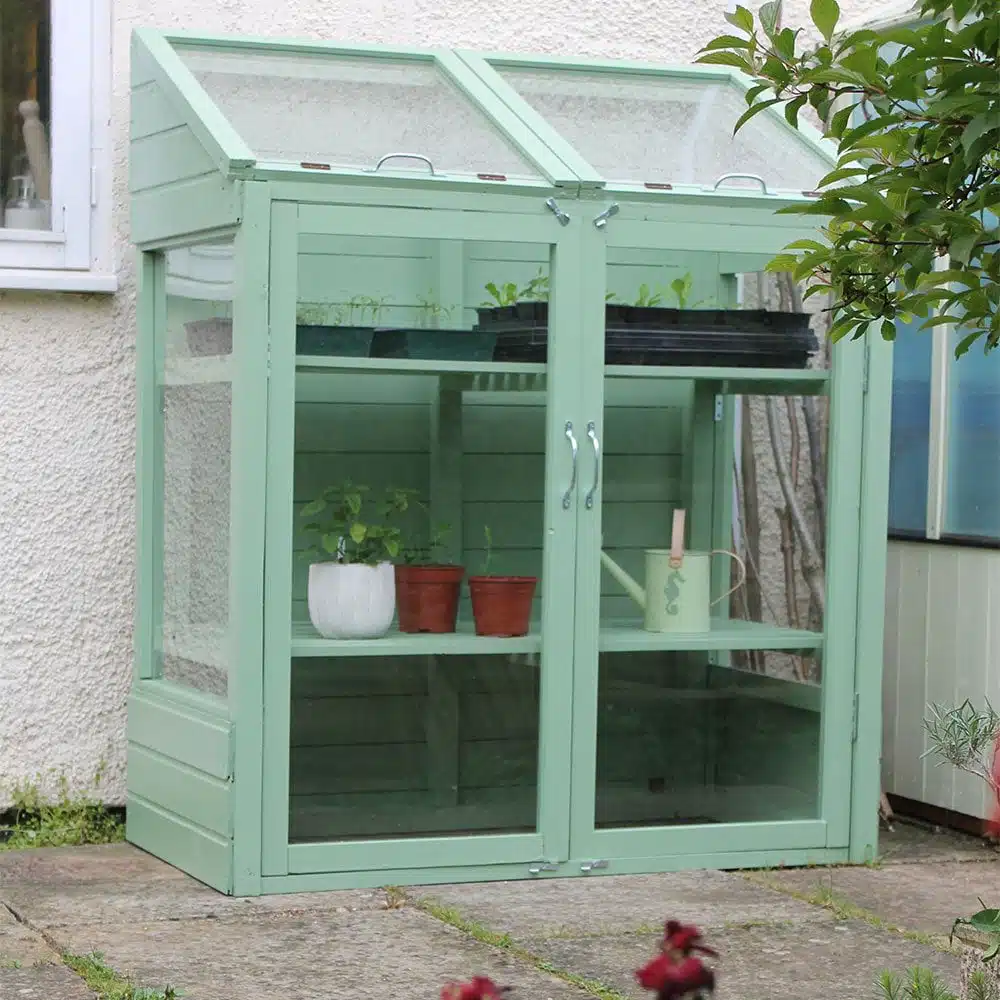 Thorndown-Reed-Green-Mini-Greenhouse