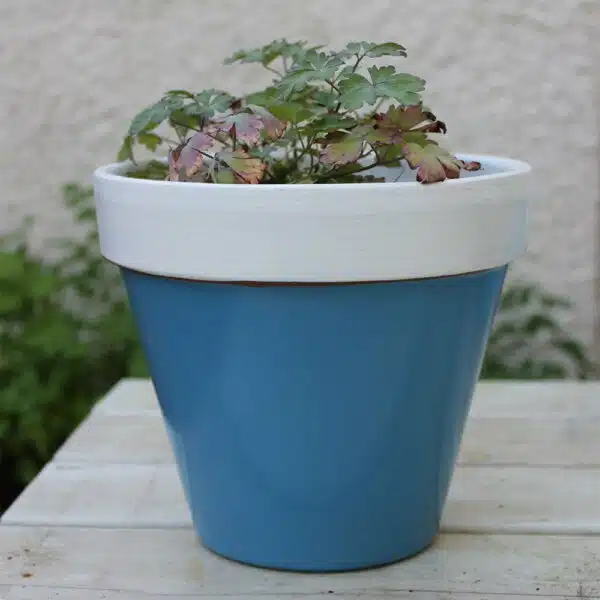 Thorndown-Squirrel-Blue-and-Limestone-Wood-Paint-on-terracotta-pot