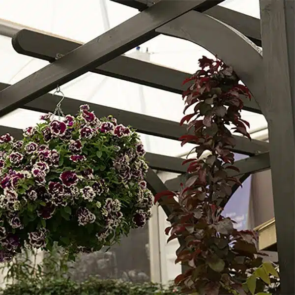Thorndown-Yew-Green-Pergola
