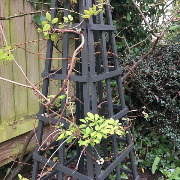Thorndown-Yew-Green-Wood-Paint-on-obelisk