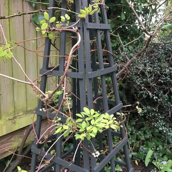 Thorndown-Yew-Green-Wood-Paint-on-obelisk