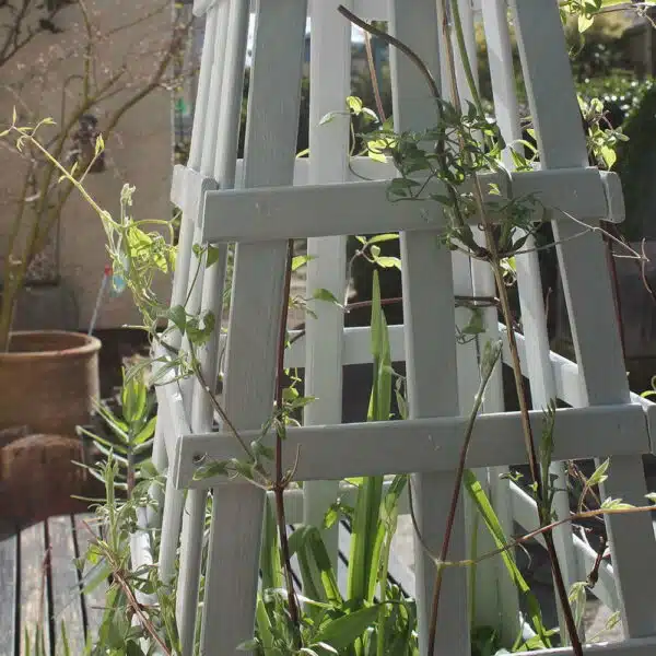 Thorndown-Zinc-Grey-Wood-Paint-on-obelisk