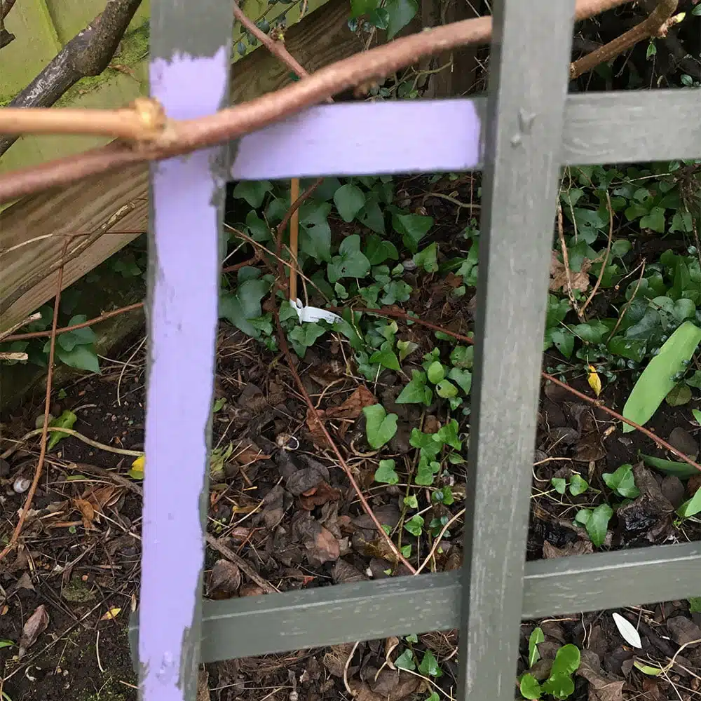 Overpainting-purple-obelisk