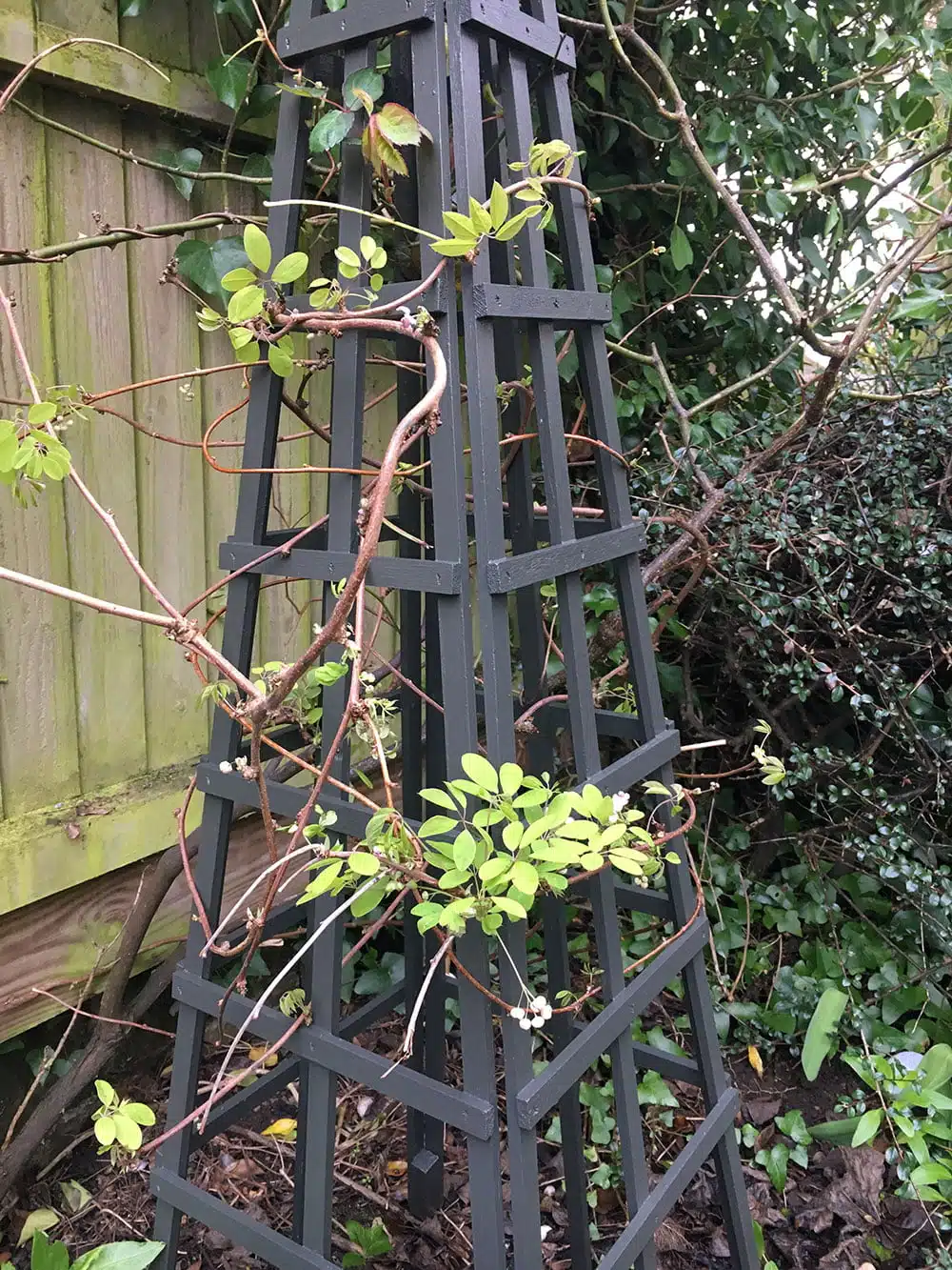 Yew-Green-Wood-Paint-on-obelisk