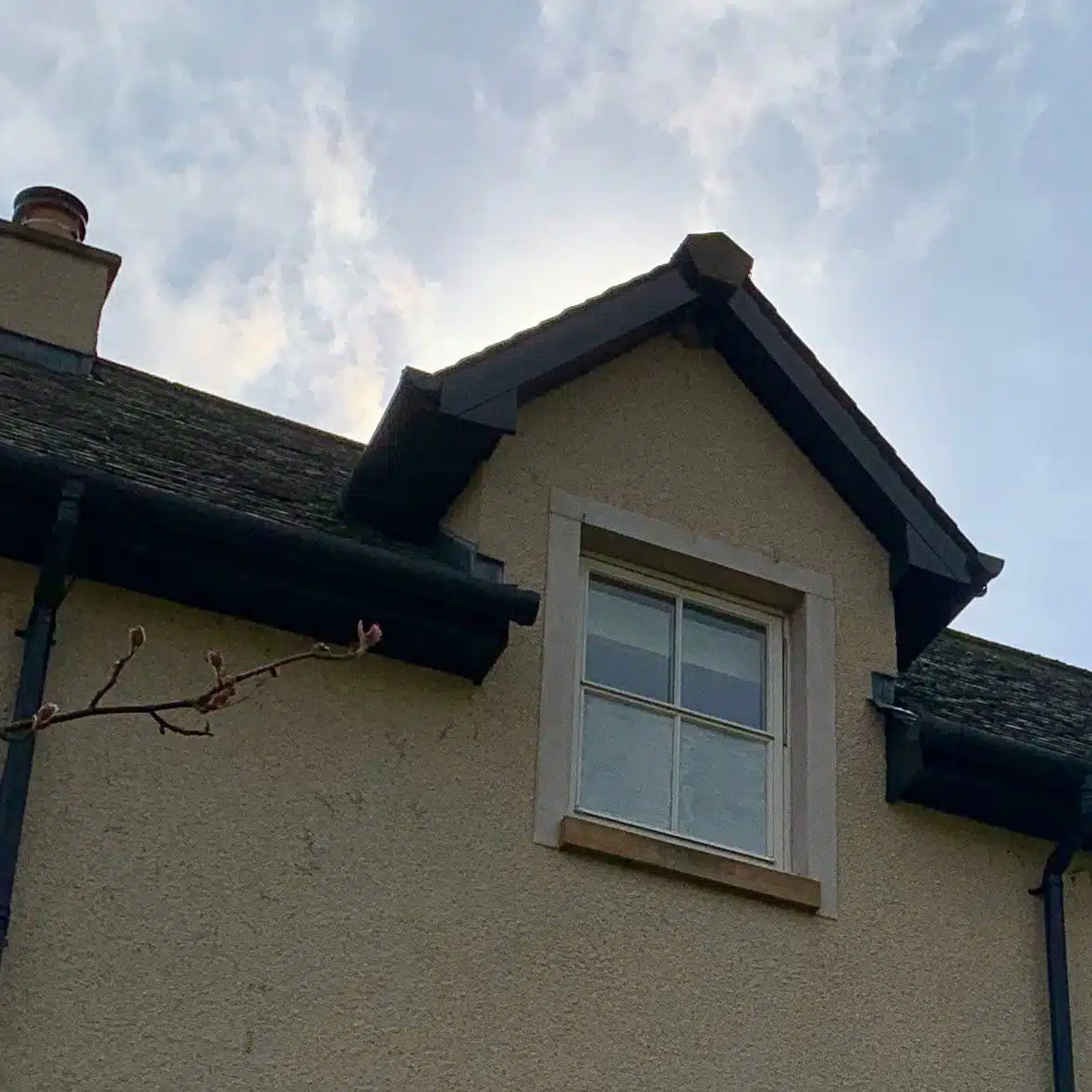 Thorndown-Limestone-Peelable-Glass-Paint-shading-crow-repellent