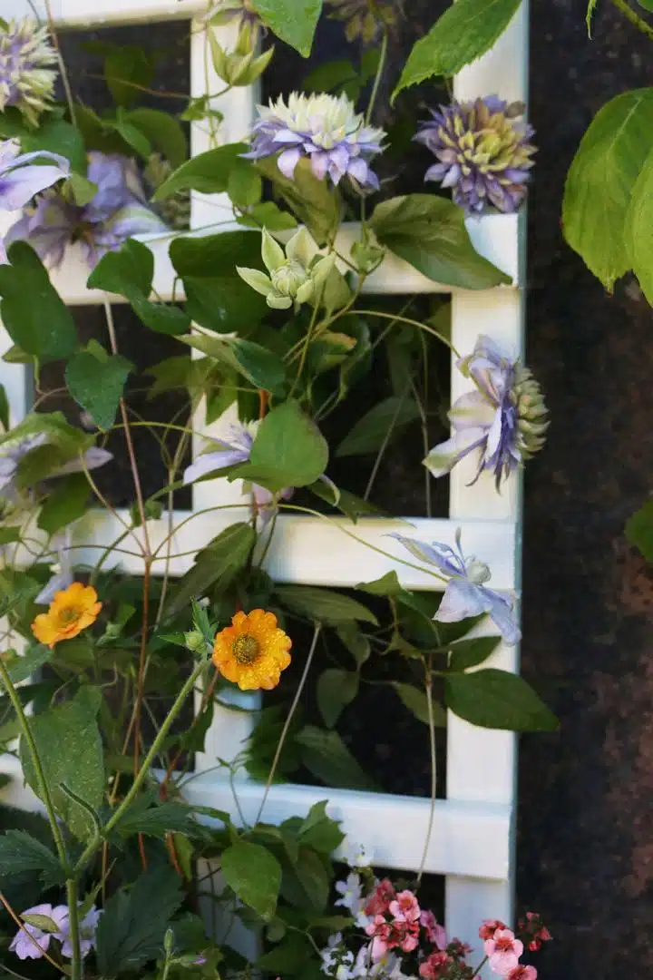Thorndown-Green-Hairtreak-Wood-Paint-on-Hutton--small-trellis-planter