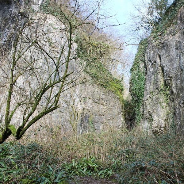 Thorndown-Ebbor-Stone-pic