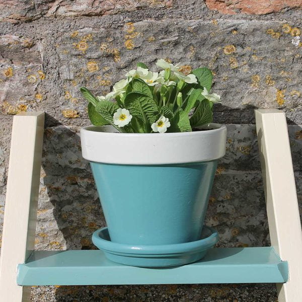 Thorndown-Slade-Green-and-Cow-Parsley-White-trim-Wood-Paint-on-terracotta-pot-on-Meadowsweet-Cream-and-Wetlands-Green-ladder