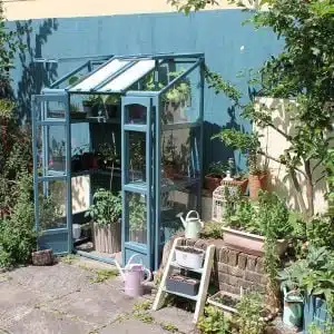 Thorndown-Launcherley-Blue-Wood-Paint-on-Forest-Tall-Wall-Victorian-Greenhouse4