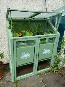 Thorndown-Reed-Green-Wood-Paint-on-Forest-Mini-Greenhouse-with-courgettes