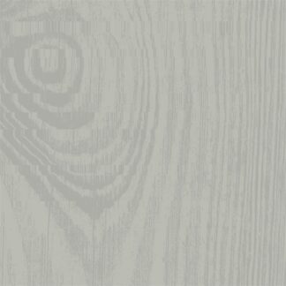 Tree Lichen Wood Paint