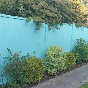 Thorndown-Goblin-Blue-Wood-Paint-on-fence