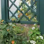 Thorndown-Field-Green-Wood-Paint-on-Forest-Large-Ultima-Pergola_4