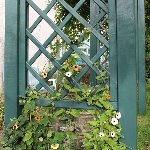 Thorndown-Field-Green-Wood-Paint-on-Forest-Large-Ultima-Pergola_6