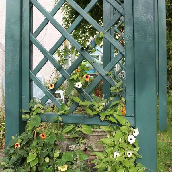 Thorndown-Field-Green-Wood-Paint-on-Forest-Large-Ultima-Pergola_6