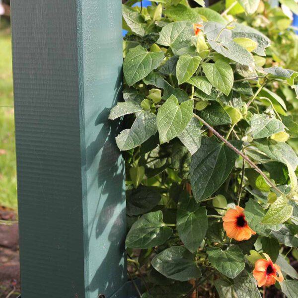 Thorndown-Field-Green-Wood-Paint-on-Forest-Large-Ultima-Pergola_7