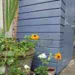 Thorndown-Hartlake-Blue-Wood-Paint-with-flowers
