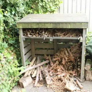 Log-store-before3