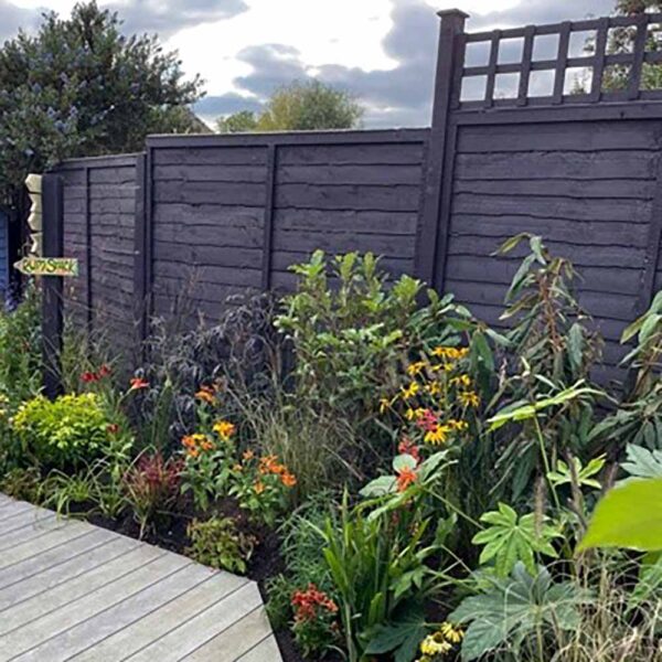 Love-Your-Garden-Leicester-Whortleberry-Wood-Paint-on-fence_3