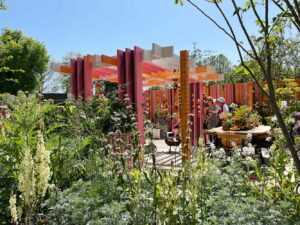 Thorndown-Wood-Paint-on-fence-and-pergola-Manoj-Malde-RHS-Eastern-Eye-Chelsea-garden