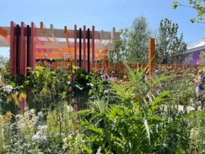 Thorndown-Wood-Paint-on-fence-pergola-and-posts-Manoj-Malde-RHS-Eastern-Eye-Chelsea-garden