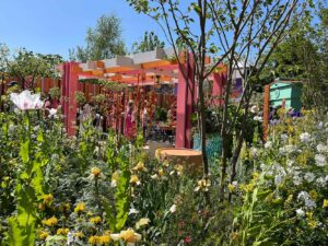 Thorndown-Wood-Paint-on-fence-pergola-and-posts-Manoj-Malde-RHS-Eastern-Eye-Chelsea-show-garden