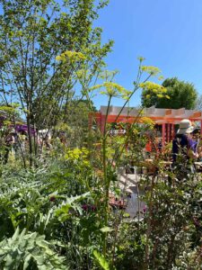 Thorndown-Wood-Paint-on-pergola-Manoj-Malde-RHS-Eastern-Eye-Chelsea-garden_v