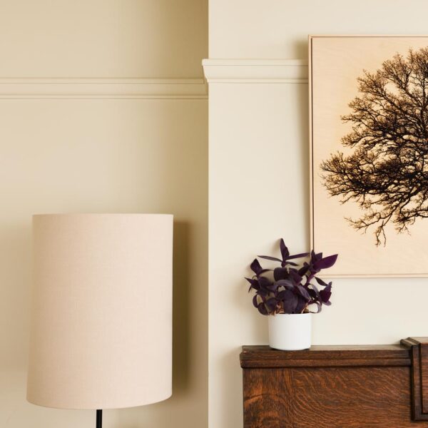 Thorndown-Cow-Parsley-White-Wall-Paint_Lounge-ceiling-and-walls2_Lol-Johnson_sq