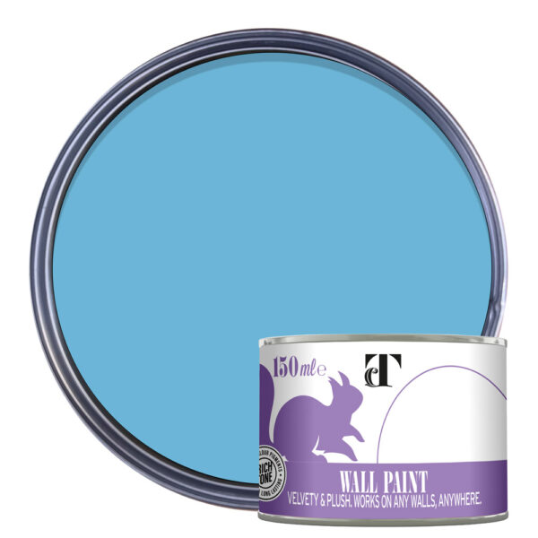 Thorndown-Wall-Paint-150-Paint-Colour-pack-shot-Adonis_Blue