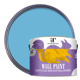 Thorndown-Wall-Paint-2500-Paint-Colour-pack-shot-Adonis_Blue