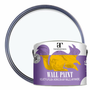 Thorndown-Wall-Paint-2500-Paint-Colour-pack-shot-Swan_White