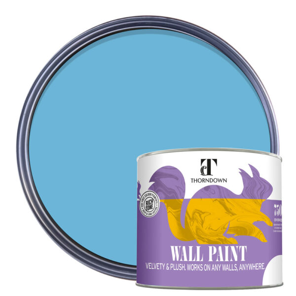 Thorndown-Wall-Paint-750-Paint-Colour-pack-shot-Adonis_Blue