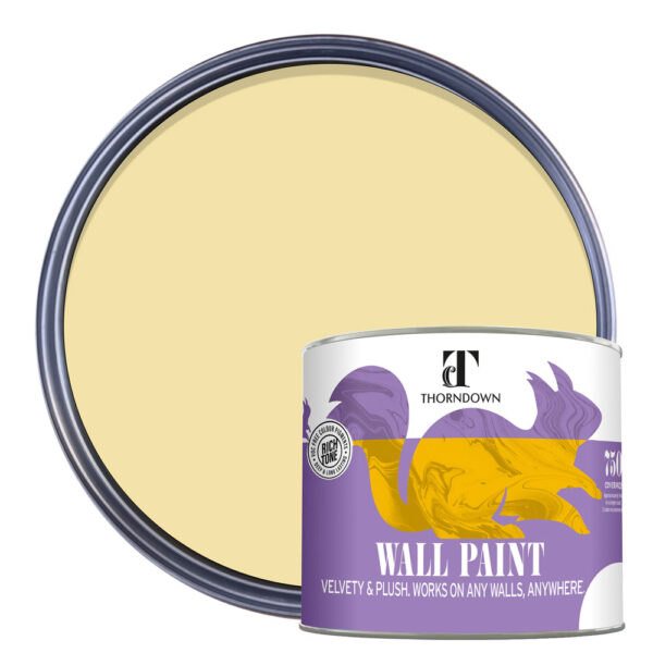 Thorndown-Wall-Paint-750-Paint-Colour-pack-shot-Bath_Cream